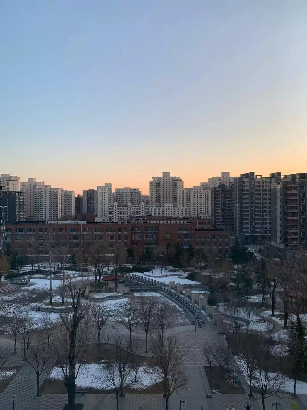 iPhone 11、XS、XR、8P,到底该买哪个?