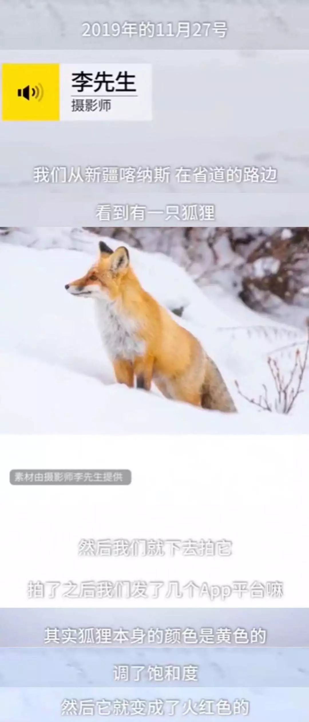 火狐狸的视频大全 680f8c486e6d41e09d47dfbf4e0715b8.jpeg