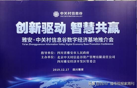 雅安数字经济总量_雅安地图