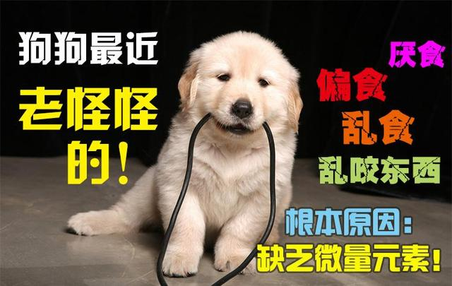 691f41ae460d4e989eb4f393630d70c3.png