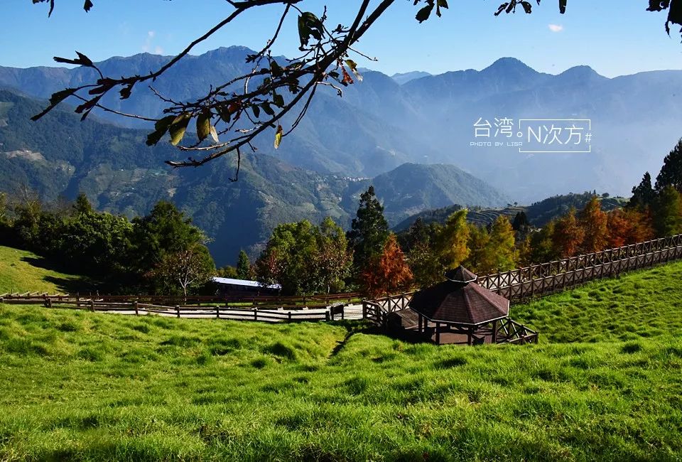 脊梁山脉之旅,充分体验台湾的山林之美_阿里山