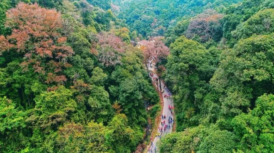 在崇义山谷间穿梭,纵情释放