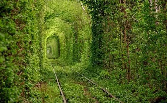 世界级情侣表白圣地,废话不说快上车。