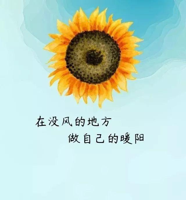 8b6f39ab5ec347b89d20e5563070203e.jpeg