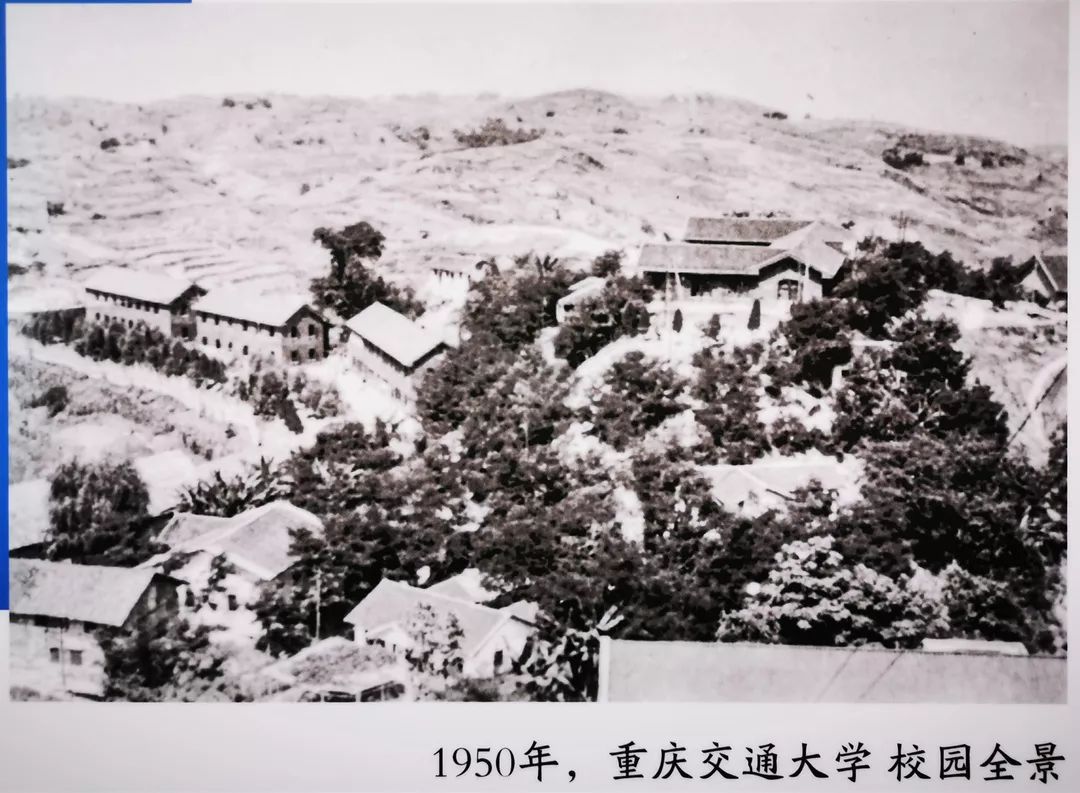 重庆交通大学西南政法大学重庆大学"我和我的大学"重庆大学生纪实