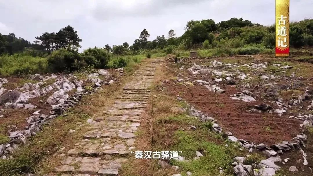 连州大路边人口_连州大东山风景