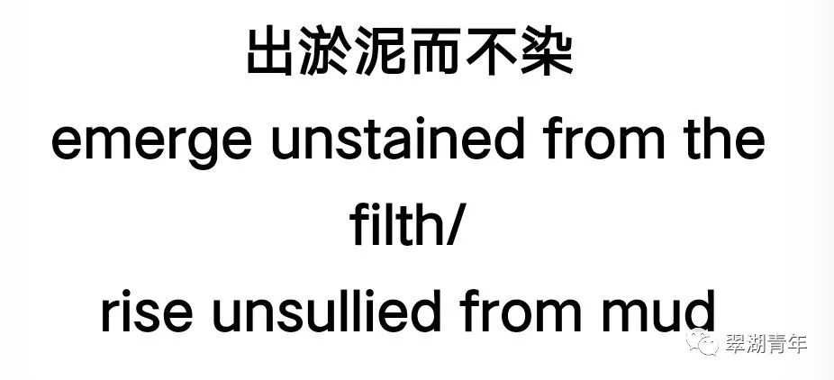 9673f2b8097f4d5db9c934e7cf4a31d8.jpeg