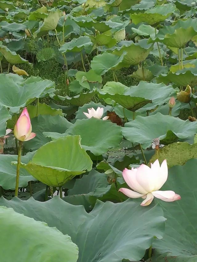 修心(好文荐读)