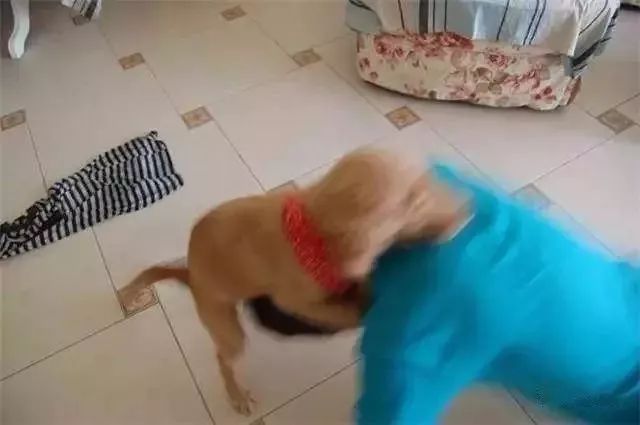 9f14ff0906d94634b1b0a05dbb47e4e7.jpeg