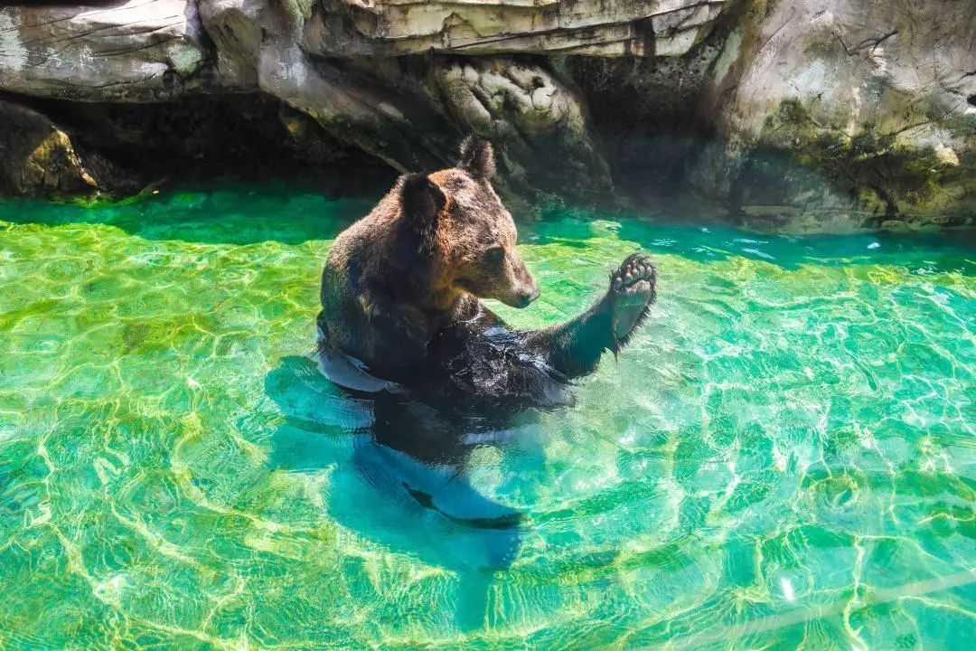 ���裤688�Ϳ��������������Ƶ�����ͷ�+2��2С������ ...