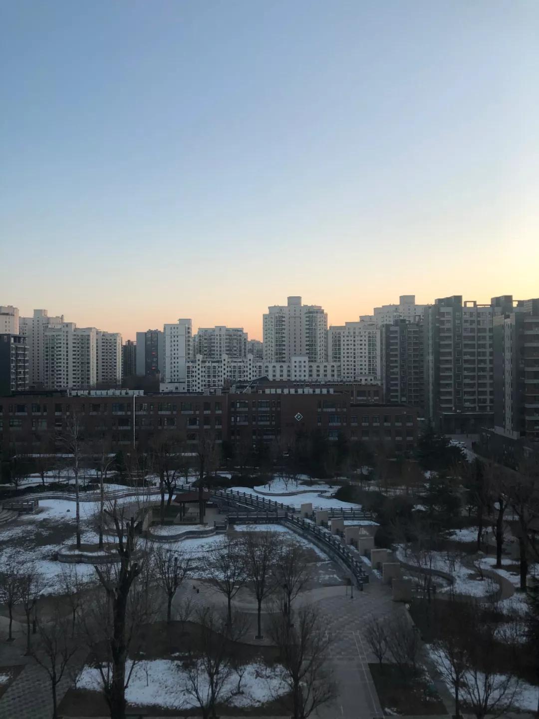 iPhone 11、XS、XR、8P,到底该买哪个?