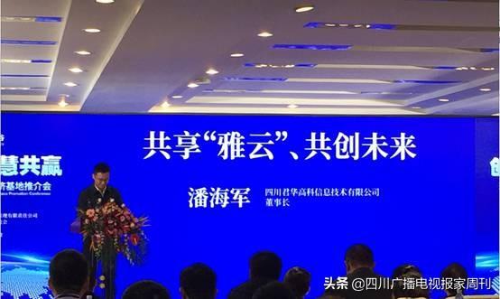 雅安数字经济总量_雅安地图(3)