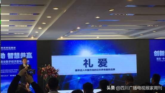 雅安数字经济总量_雅安地图(3)