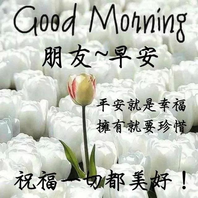 b701bd10059a4c13bb0cec813cd5df67.jpeg
