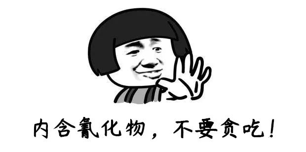 c29e2d035447479e9b84038fc251c35f.jpeg