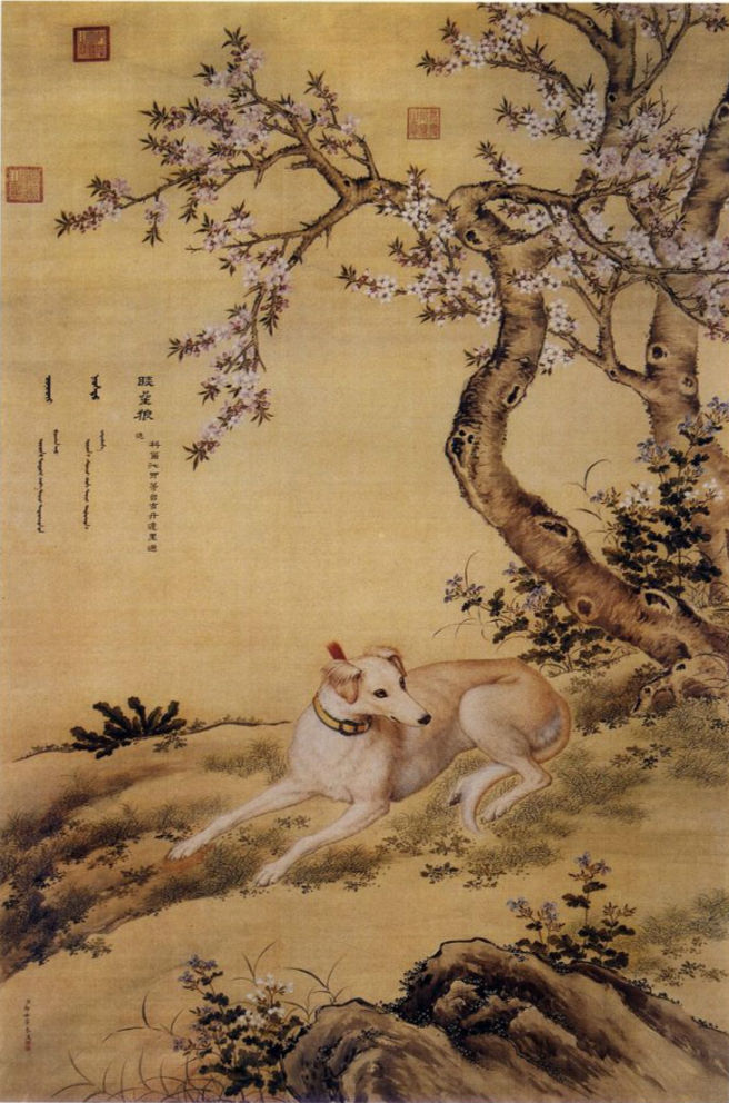 十犬十美——赏郎世宁《十骏犬图》_动物