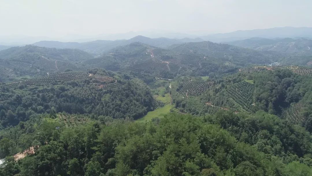 龙岩永定经济总量_龙岩永定土楼(3)