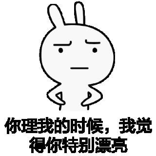 你理我的时候,我觉得你特别漂亮