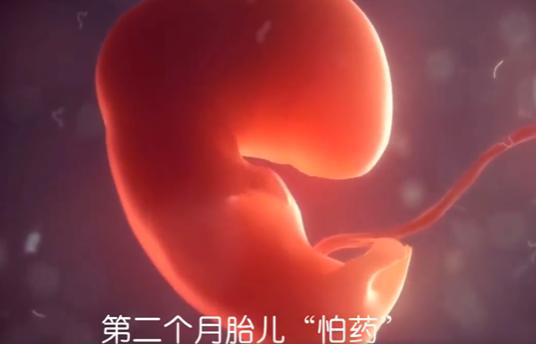 十月怀胎，每月各有一条“高压线”，孕妈碰一条，胎宝被伤害一次