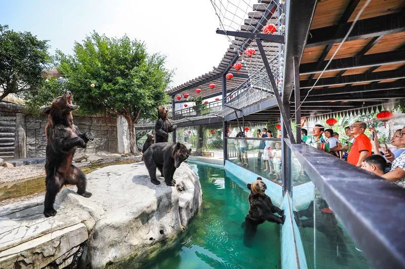 ���裤688�Ϳ��������������Ƶ�����ͷ�+2��2С������ ...