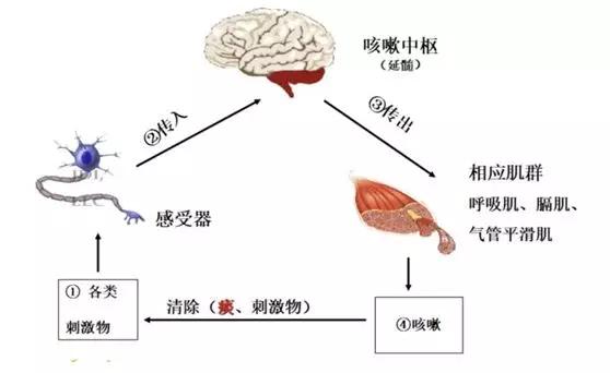 器官黑市与失踪人口_使徒行者3 克莱因灰发造型惊艳出场,马国明的角色让人惊(2)