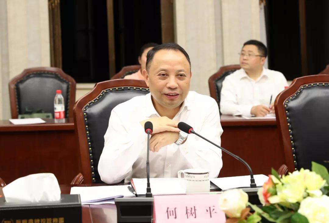 万丰集团:四川自贡市市长何树平考察万丰航空小镇