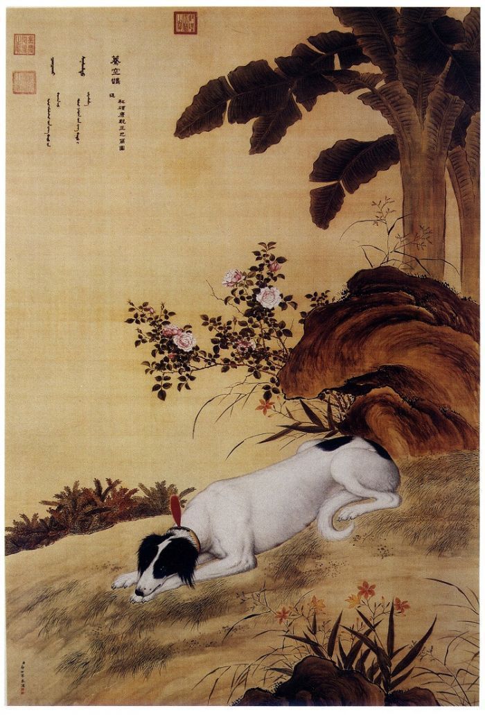郎世寧 犬圖 清郎世寧畫十駿犬蒼猊犬軸- 故宮