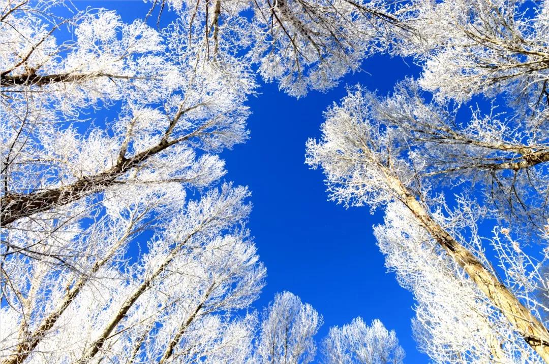 也许, 你曾担心它冬天的荒芜冰冷,担心被风雪困在屋里路上的艰难.