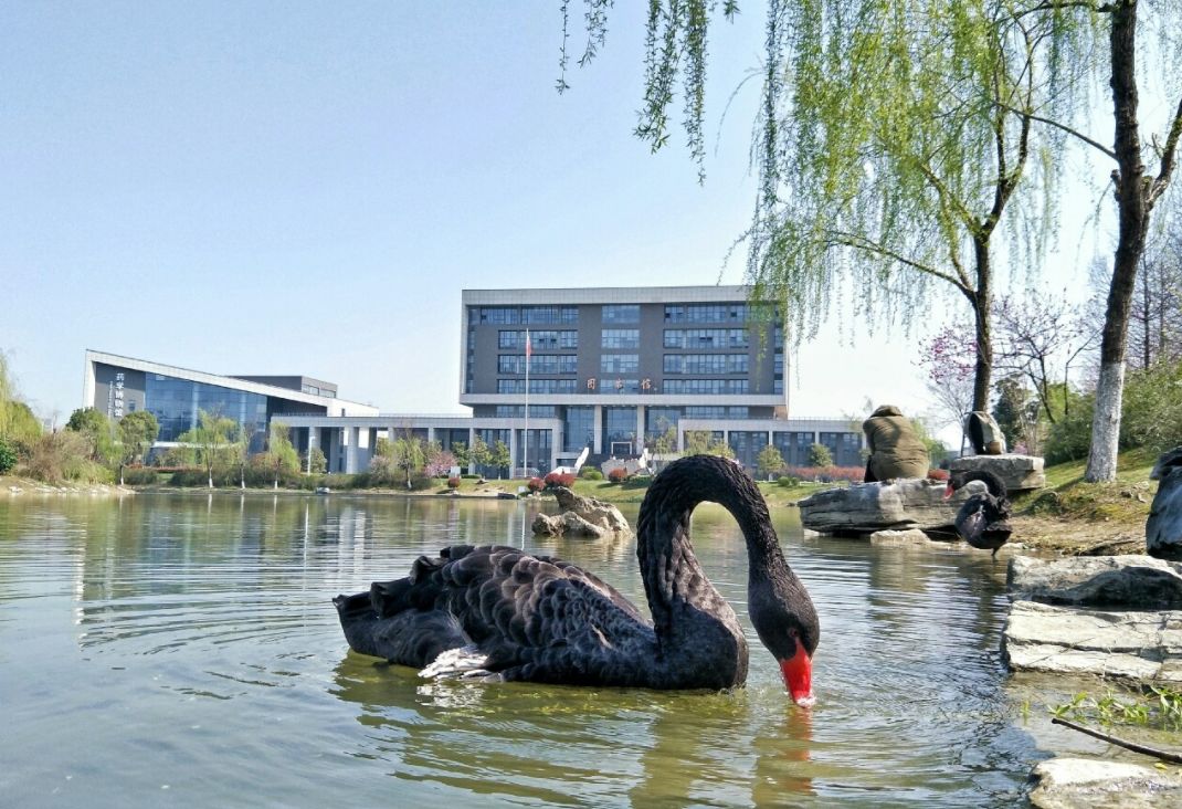 南京晓庄学院 中国药科大学图书馆  @中国药科大学 江宁校区新图书