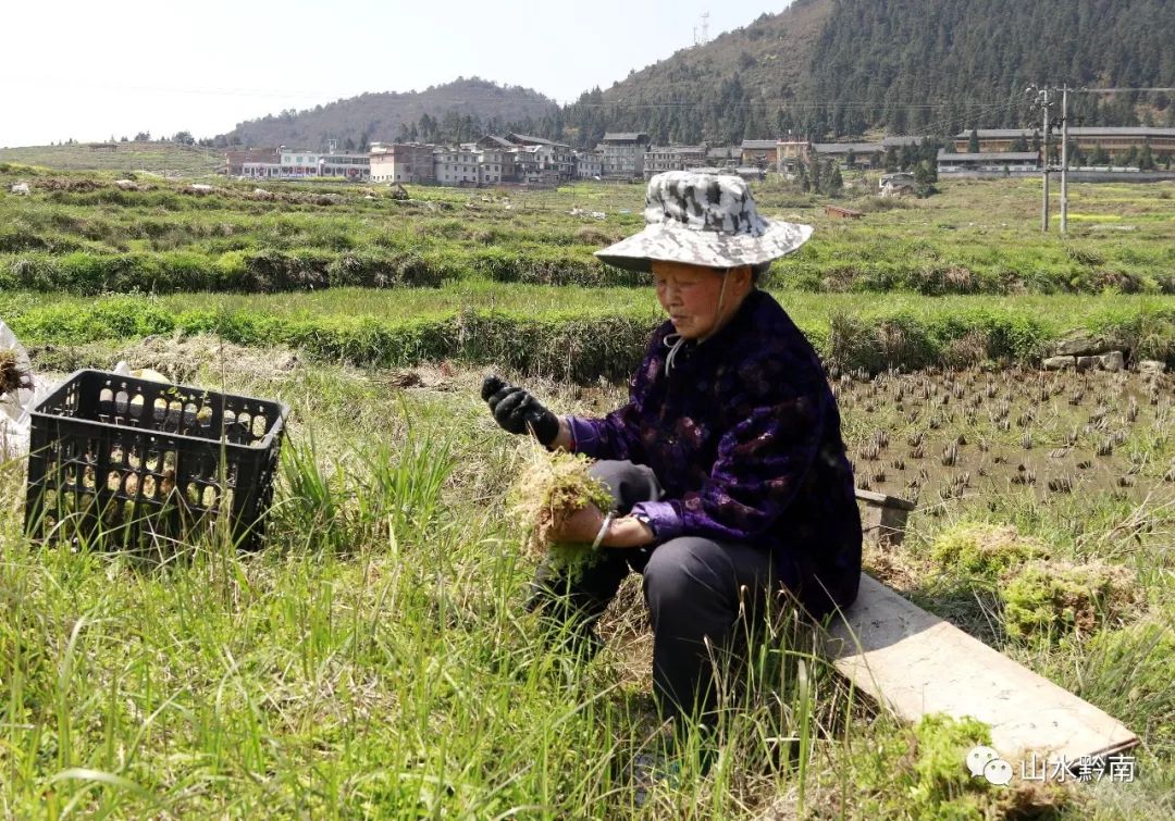 2008年,在外务工的他回乡创业,从开始的零星收购到成立海花草加工厂