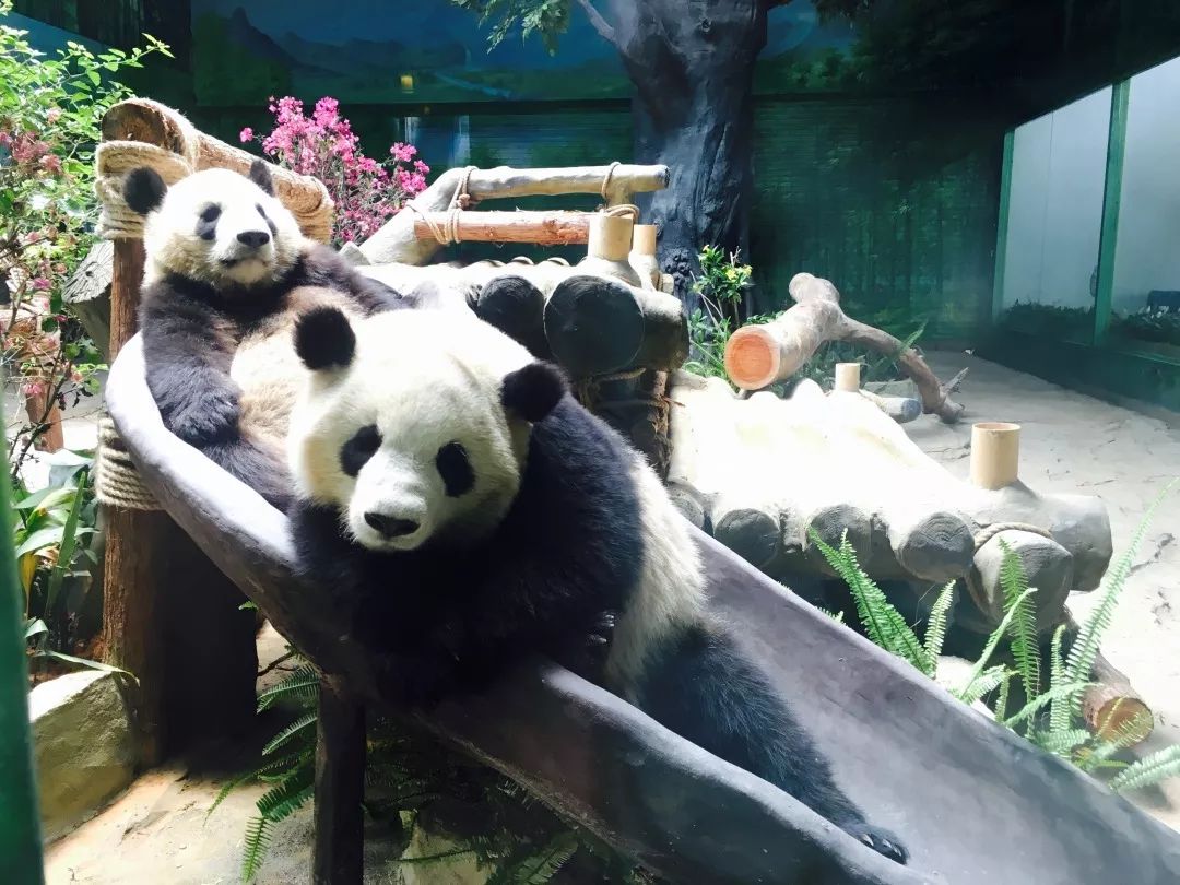 ���裤688�Ϳ��������������Ƶ�����ͷ�+2��2С������ ...