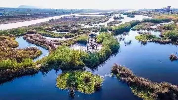 国家级岐渭水利景区,落星湾国家湿地公园,凤鸣湖生态示范园等城市"绿