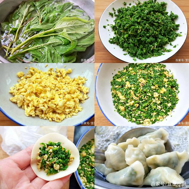 素馅饺子馅有哪些种类 e737b445832841d89c9c92727c0c3c25.jpeg