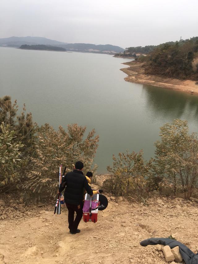 野钓观洞水库 手竿抽大头,大师出征 皮卡打头