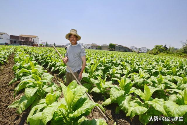 宏观经济总量间的联系机制_宏观经济(3)