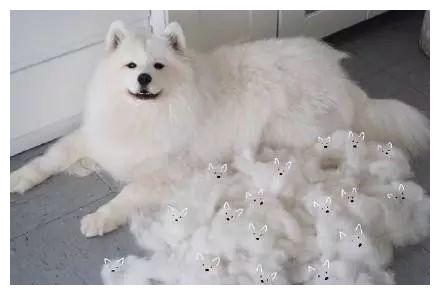 edeea5acfb38430eaa05aa3880dbc4d8.jpeg