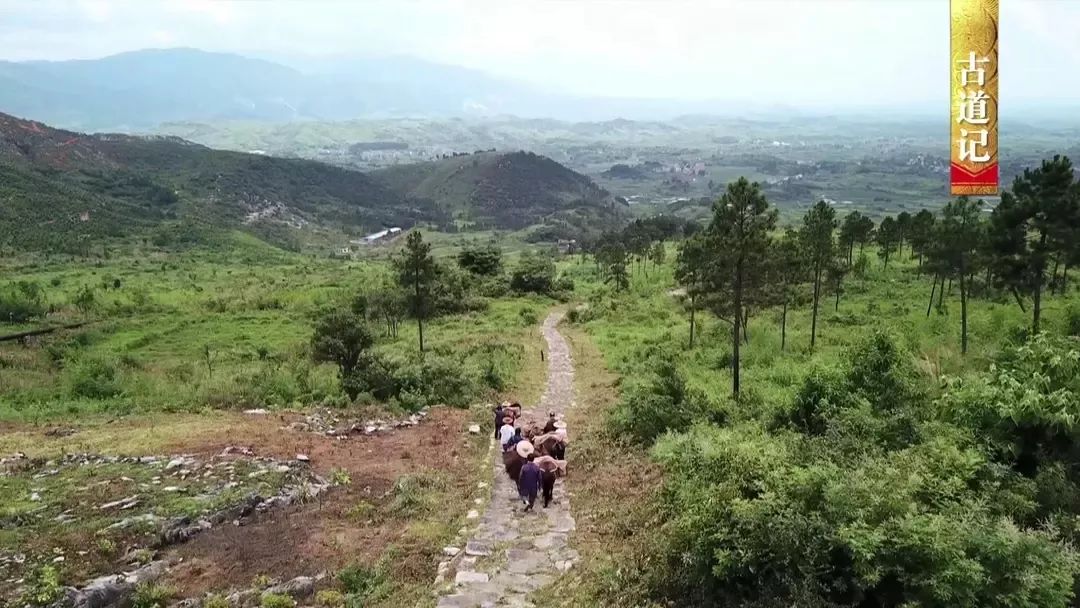 连州大路边人口_连州大东山风景