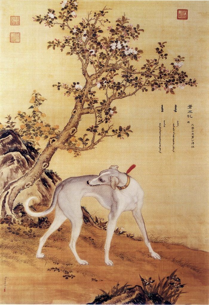十犬十美——赏郎世宁《十骏犬图》_动物