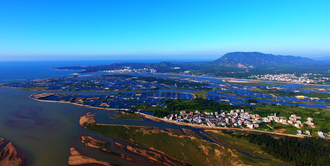 霸王岭上雨林秀 昌化江畔木棉红 海南昌江"冬登春赏"黄金旅游季启幕