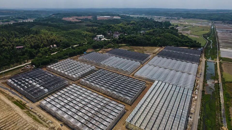 南陵县工山镇gdp是多少_一线传真 南陵县工山镇 变废为宝稳脱贫,特色产业促发展