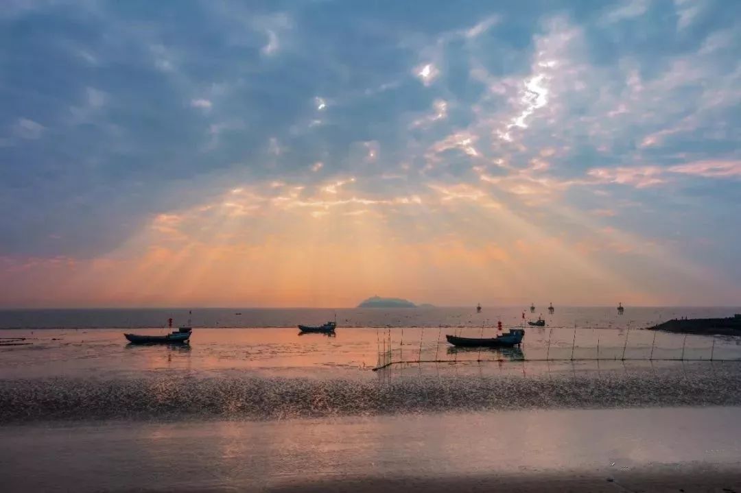 上海金山,被低估了!