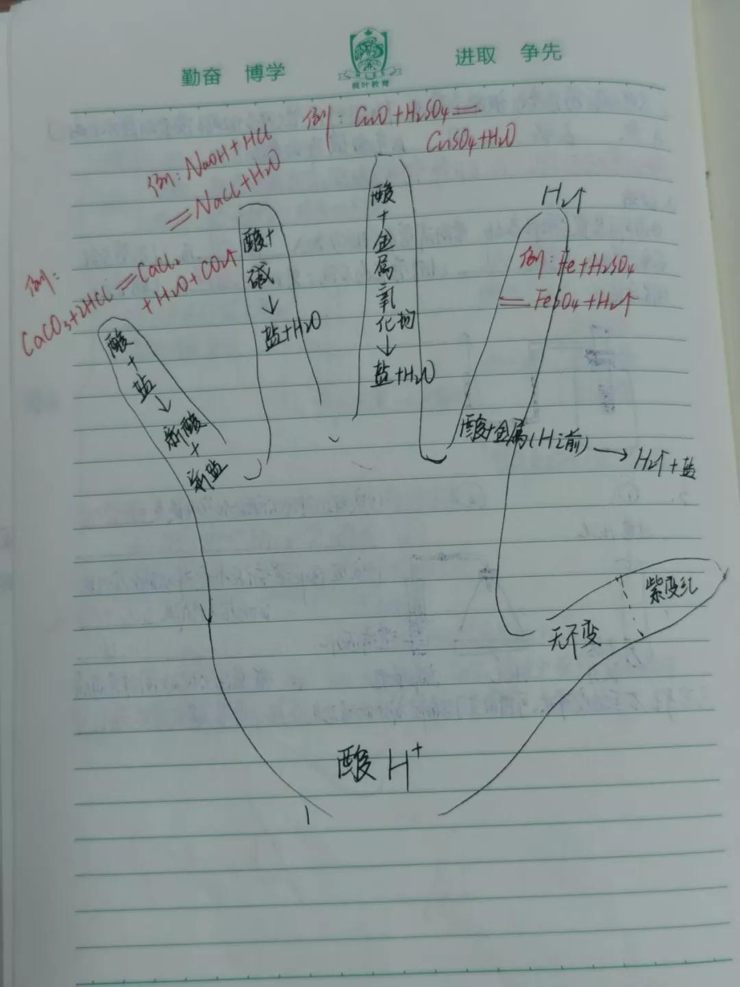 潍坊枫叶国际学校:巧借手掌图,掌握酸碱盐 ——枫叶学子的化学课