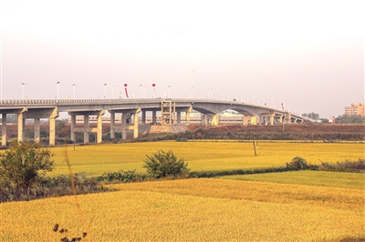 茅草街大桥全景.