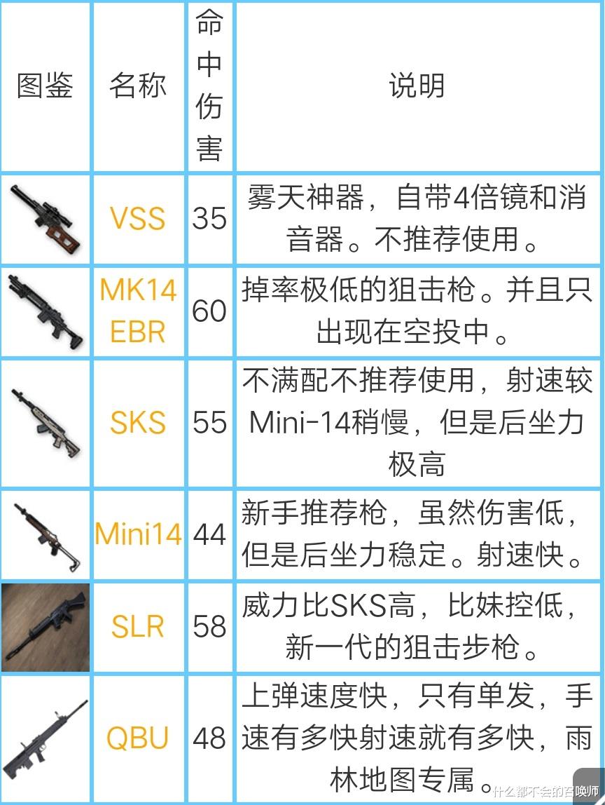 最受玩家喜爱的射手步枪:mini17
