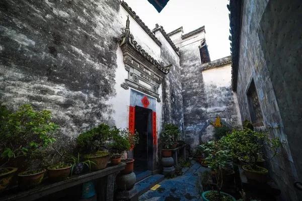 文章配图-18
