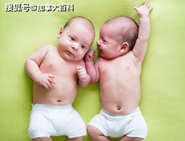 26144ed8a37a4197a1c97fce481a0613.png