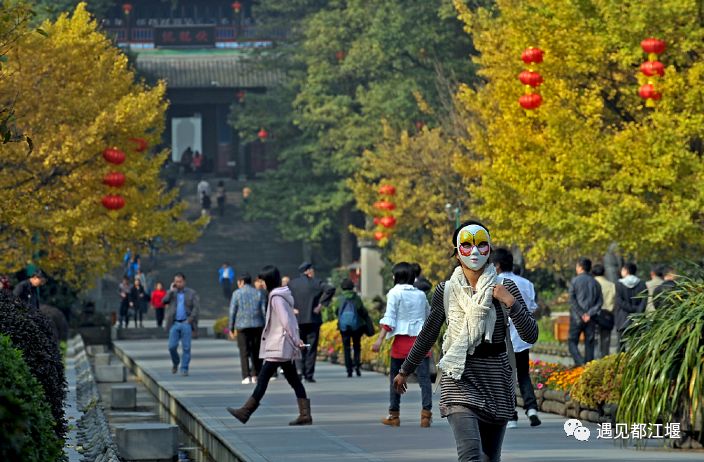 一步一景游古堰 | 卧铁、张松银杏、堰功道，这条短短的路上，故事有点多~