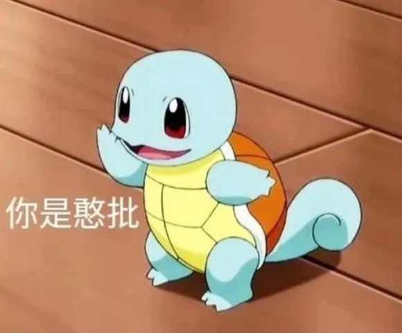 杰尼龟咋就变成憨批代言人了?