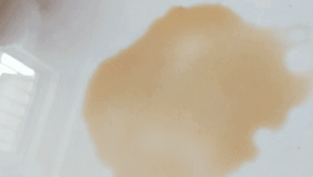 439602a9528c4aca8b255e2486616da9.gif