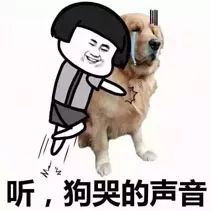 491e0693089d4ee78197604736a8584b.jpeg